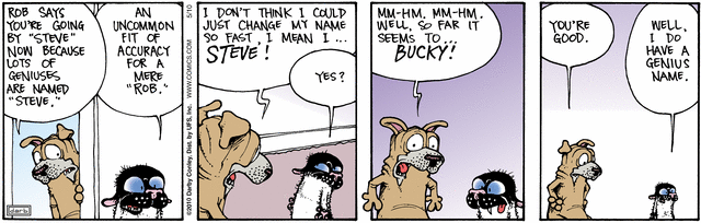 fuzzy
